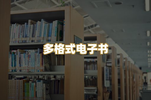 多格式电子书